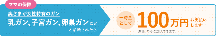 ママの保障 奥さまが女性特有のガン 乳ガン、子宮ガン、卵巣ガンなど と診断されたら 一時金として100万円お支払いします ※1口のみご加入できます。