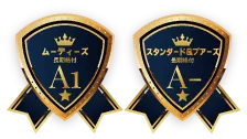 ムーディーズ 長期格付 A1　スタンダード＆プアーズ 長期格付 A-